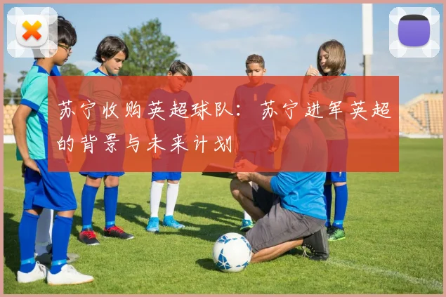 苏宁收购英超球队：苏宁进军英超的背景与未来计划